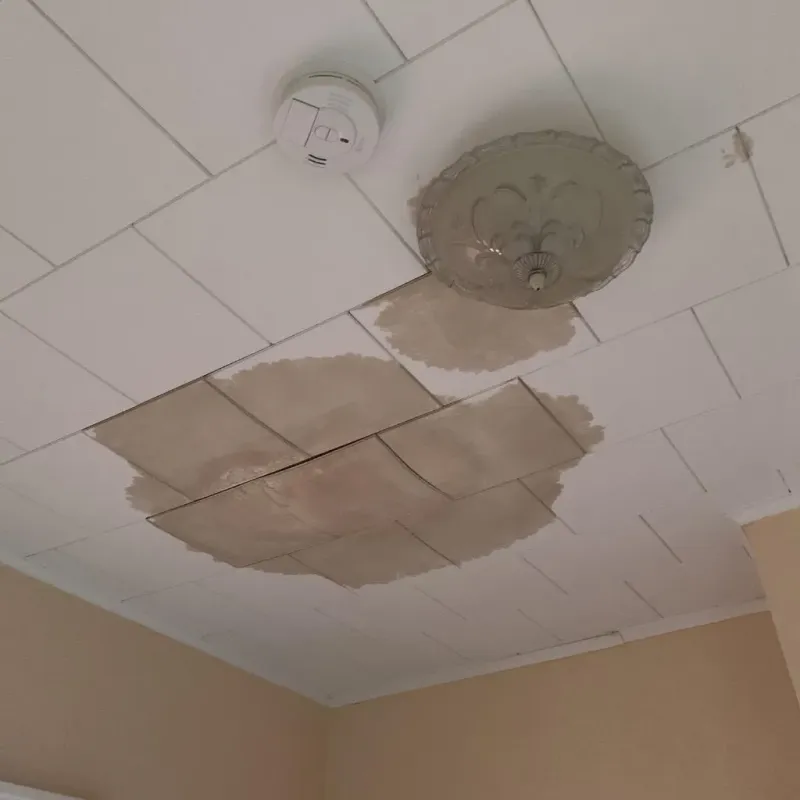 Ceiling Water Damage Repair in Garrettsville, OH