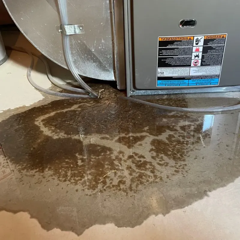 Pipe Burst and Leak Restoration in Garrettsville, OH
