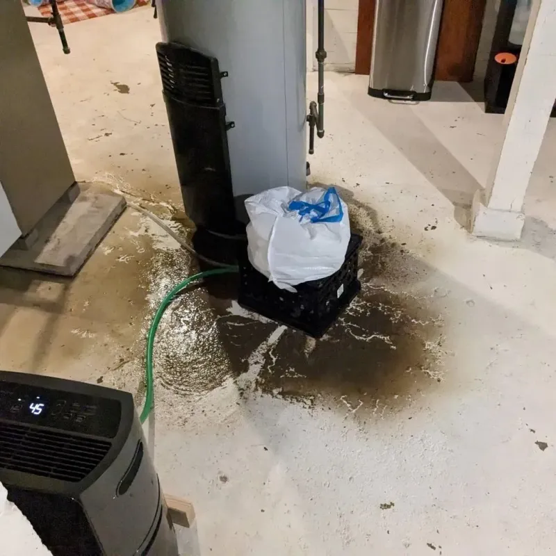 Sewage Backup Cleanup Service in Garrettsville, OH